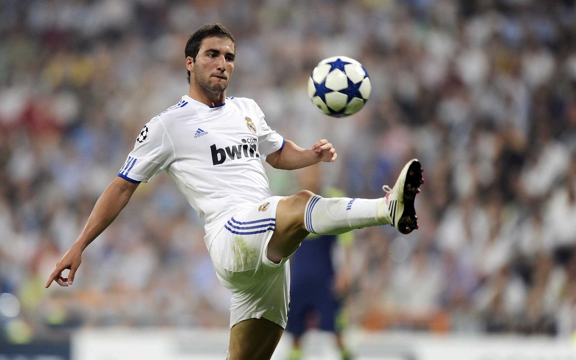 阿伦·斯密斯：他与全黑队后场的默契配合，为球队提供强大支持